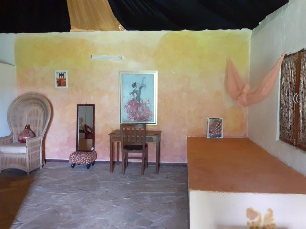 Gecko Nature Lodge Home Of Swahili Divers The Best Dive Center And Famous Gecko Restaurant Verani Exterior foto