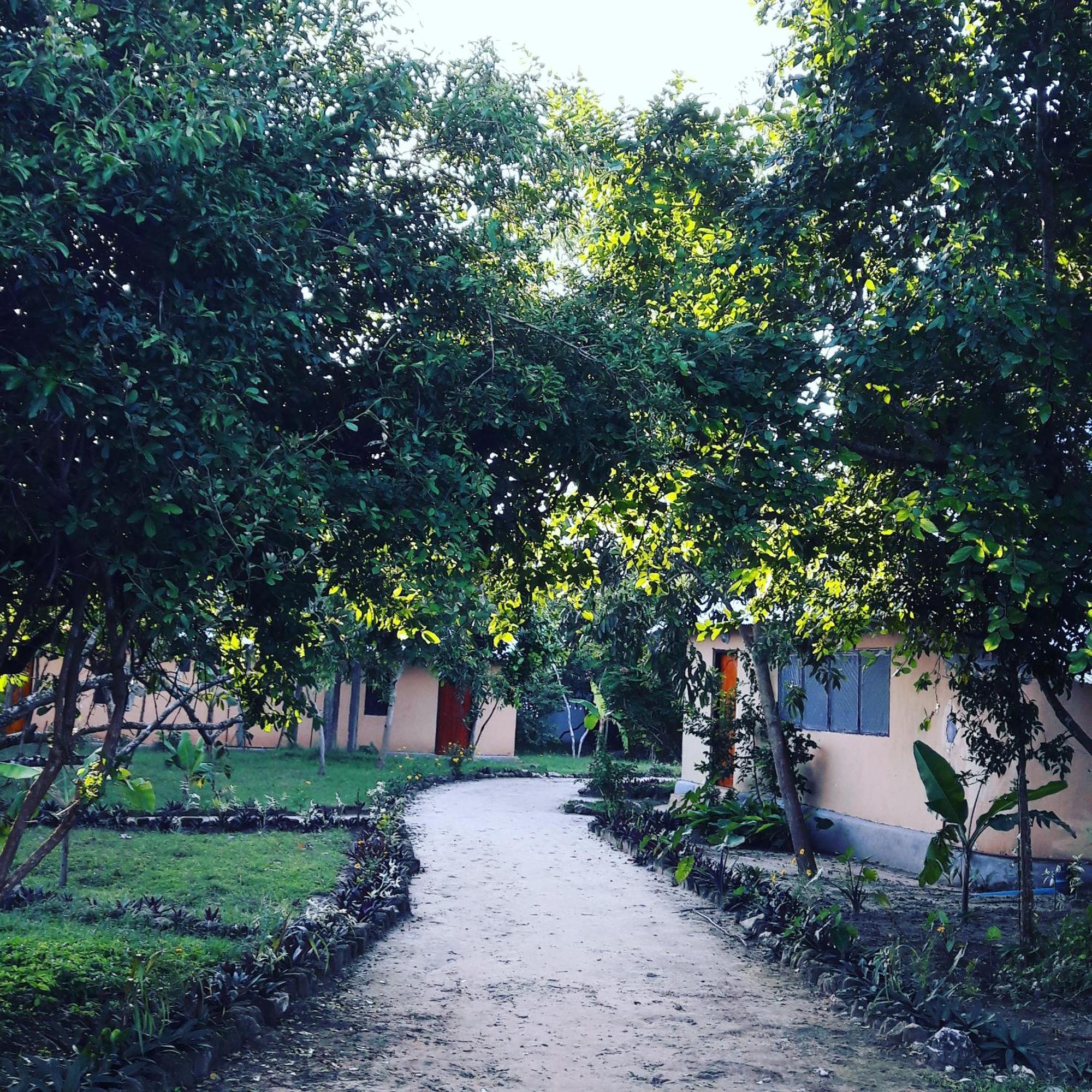 Gecko Nature Lodge Home Of Swahili Divers The Best Dive Center And Famous Gecko Restaurant Verani Exterior foto