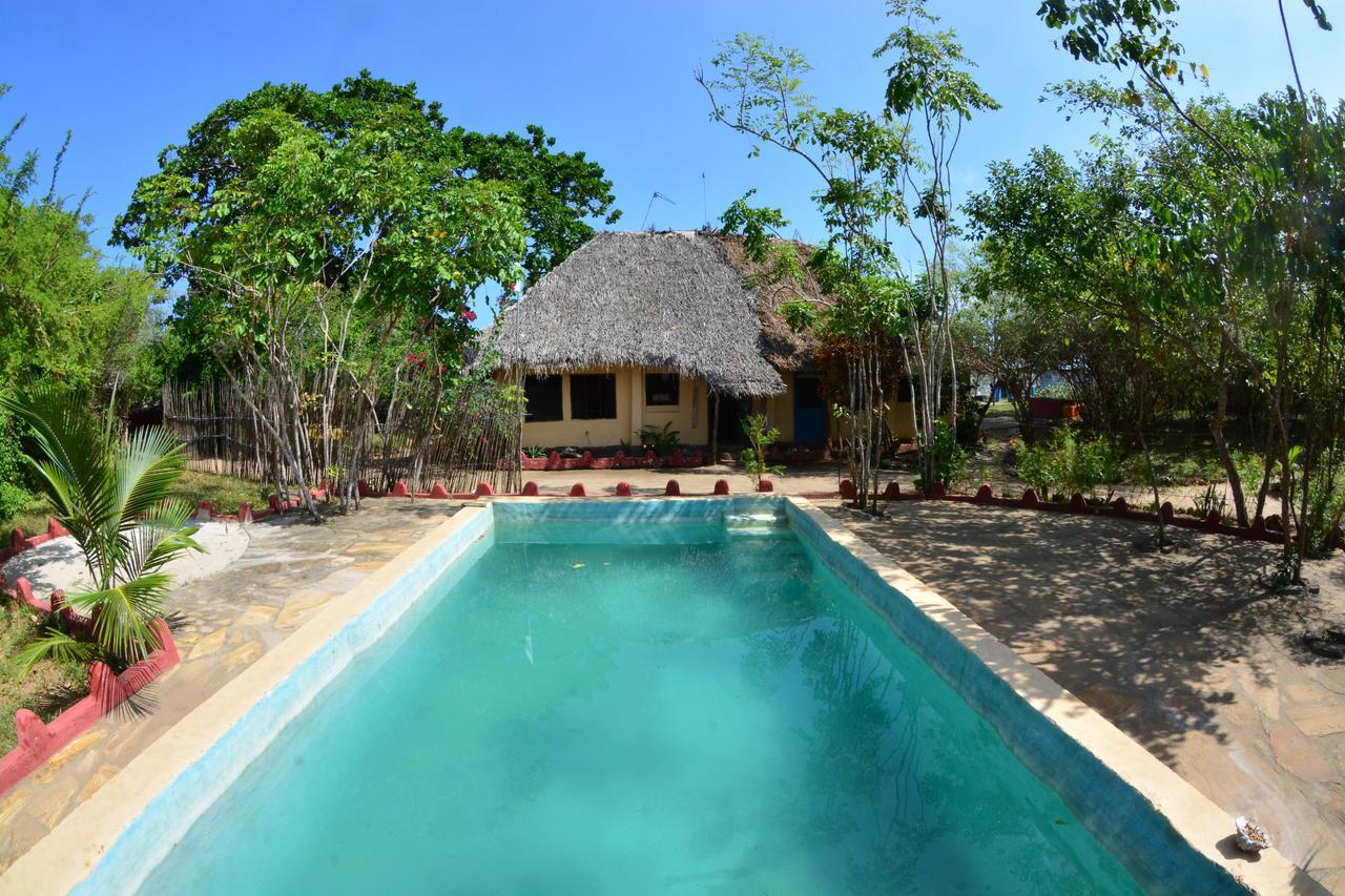 Gecko Nature Lodge Home Of Swahili Divers The Best Dive Center And Famous Gecko Restaurant Verani Exterior foto