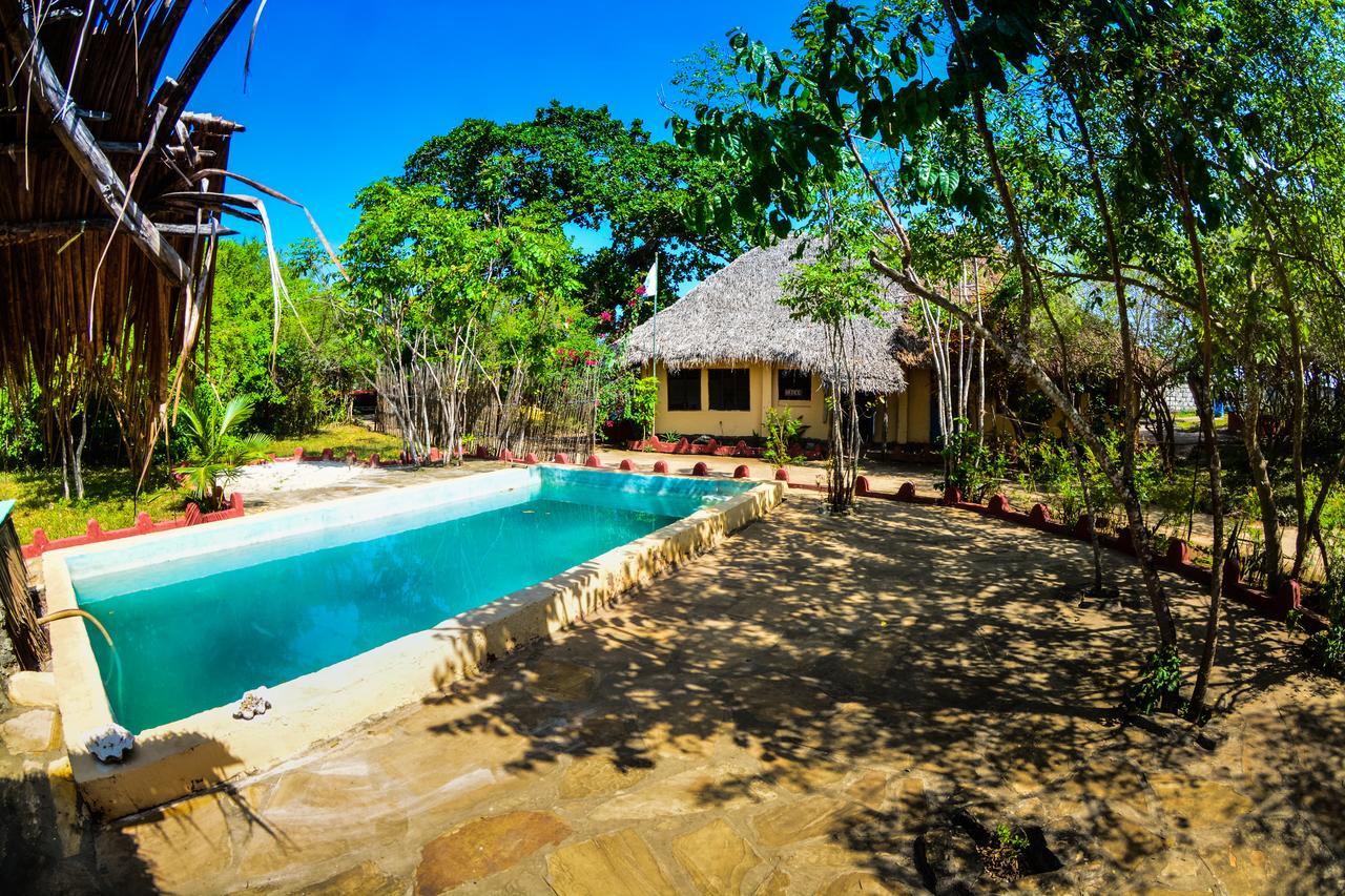 Gecko Nature Lodge Home Of Swahili Divers The Best Dive Center And Famous Gecko Restaurant Verani Exterior foto