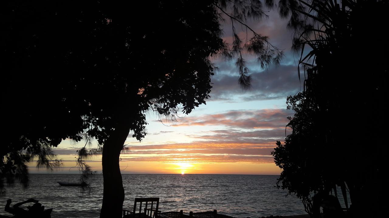 Gecko Nature Lodge Home Of Swahili Divers The Best Dive Center And Famous Gecko Restaurant Verani Exterior foto