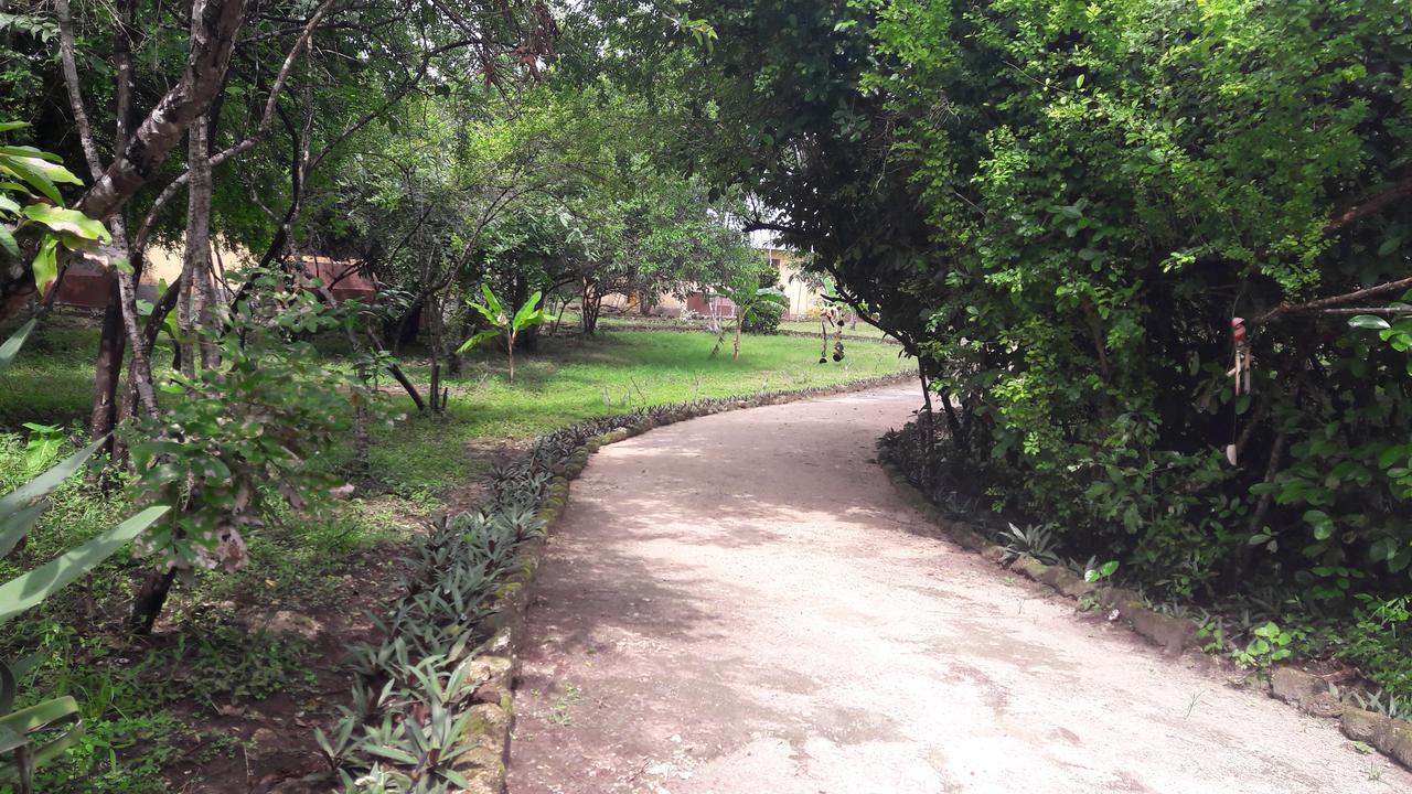 Gecko Nature Lodge Home Of Swahili Divers The Best Dive Center And Famous Gecko Restaurant Verani Exterior foto