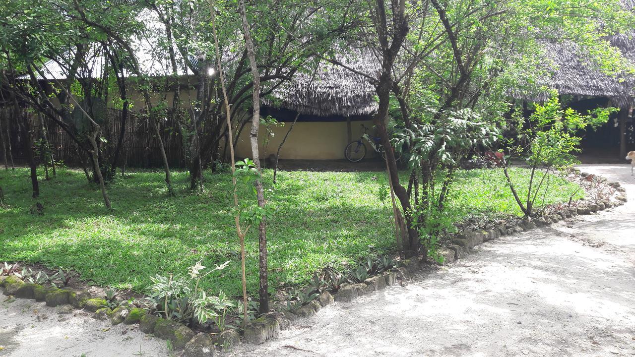 Gecko Nature Lodge Home Of Swahili Divers The Best Dive Center And Famous Gecko Restaurant Verani Exterior foto