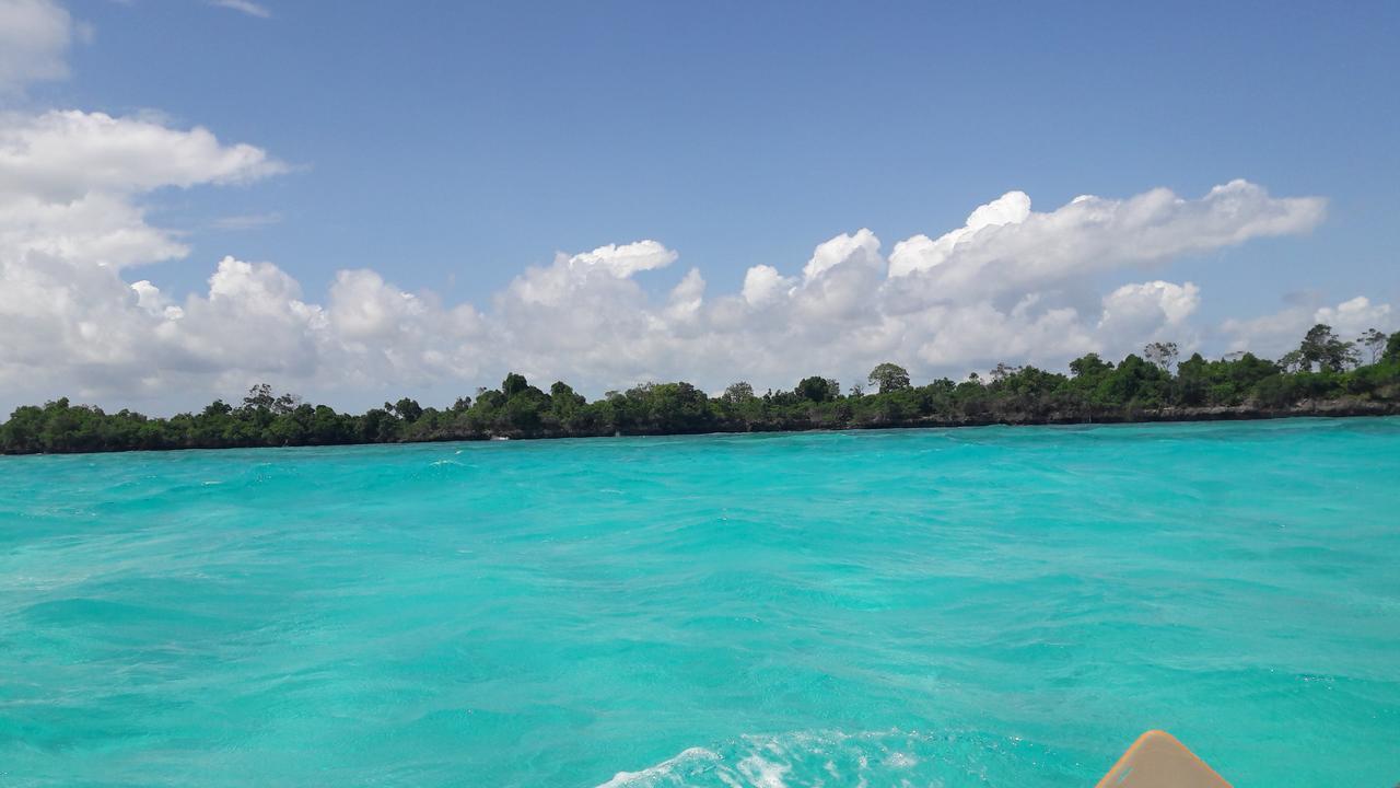 Gecko Nature Lodge Home Of Swahili Divers The Best Dive Center And Famous Gecko Restaurant Verani Exterior foto