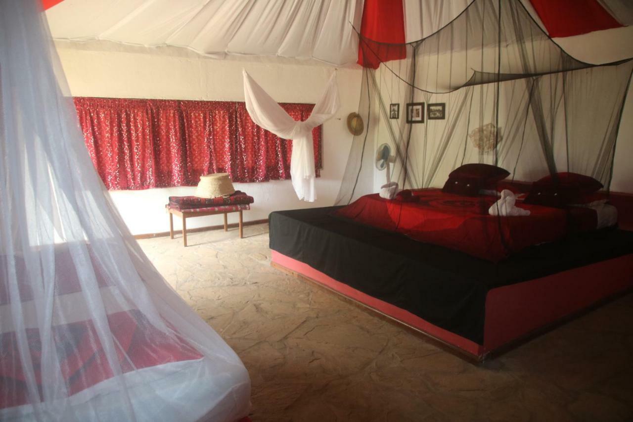 Gecko Nature Lodge Home Of Swahili Divers The Best Dive Center And Famous Gecko Restaurant Verani Exterior foto